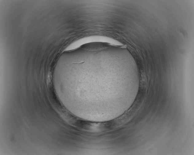 X0000115170130200911121747