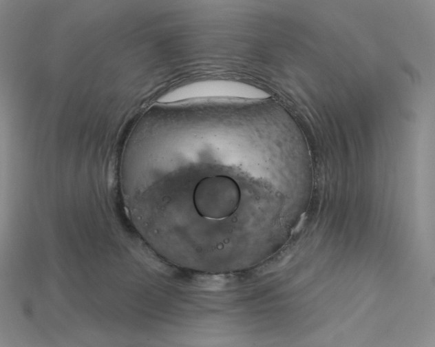 X0000115170131200911121747