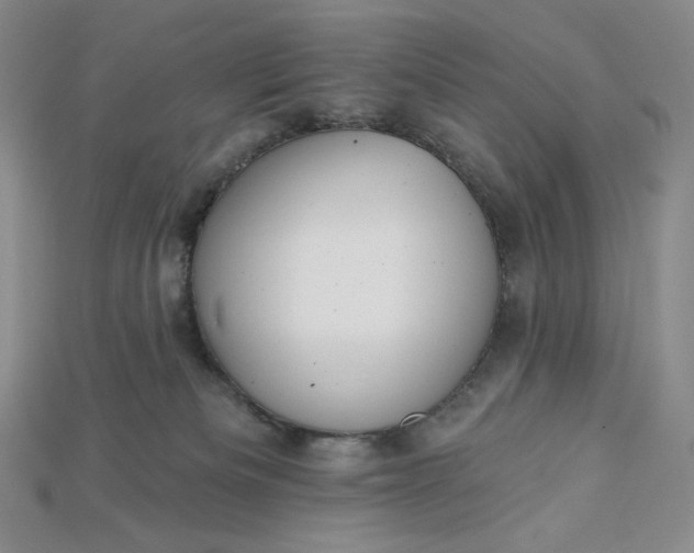 X0000115170133200911121747