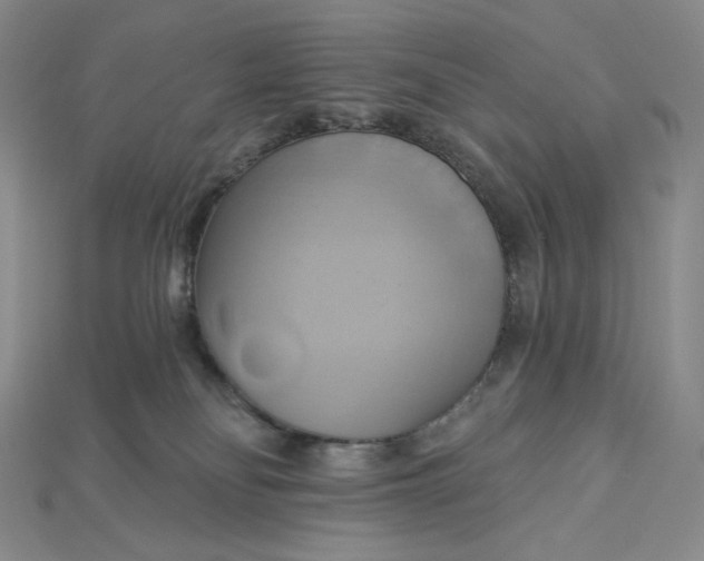 X0000115170134200911121747