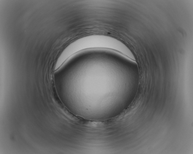 X0000115170137200911121747