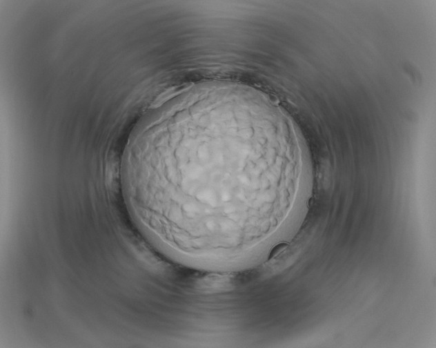 X0000115170138200911121747