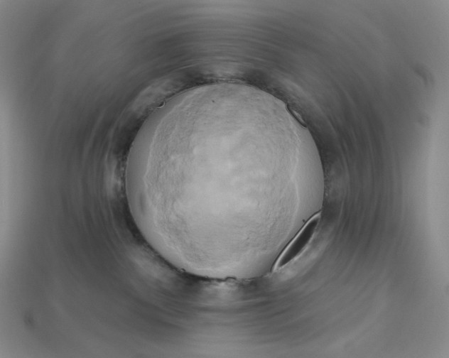 X0000115170140200911121747