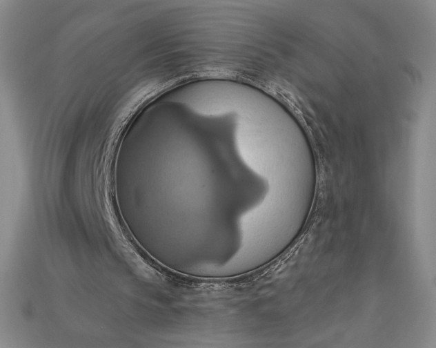 X0000115170145200911121747