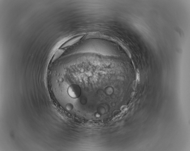 X0000115170147200911121747