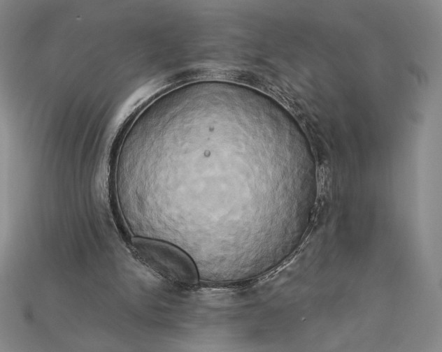 X0000115170150200911121747