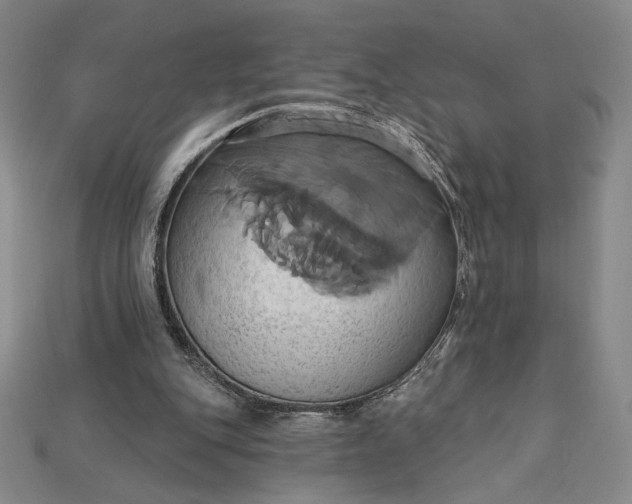 X0000115170151200911121747