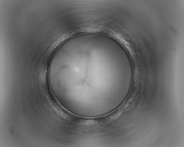 X0000115170153200911121747