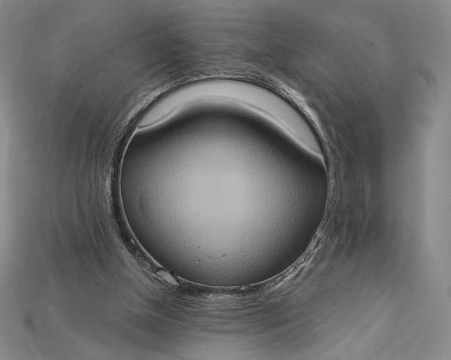 X0000115170154200911121747
