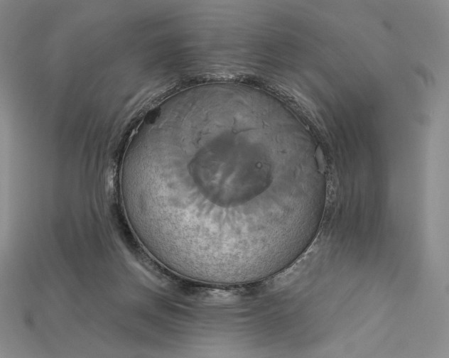 X0000115170166200911121747