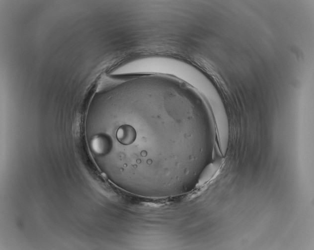 X0000115170167200911121747
