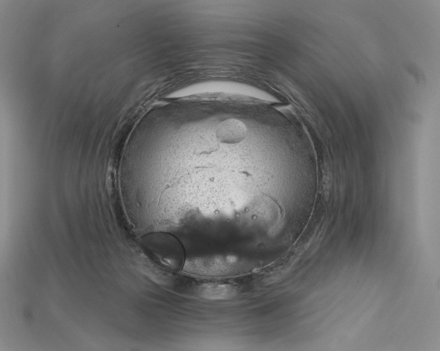 X0000115170169200911121747