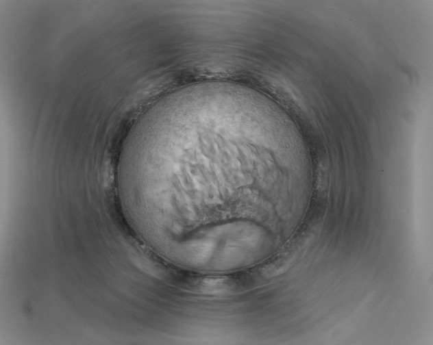 X0000115170173200911121747