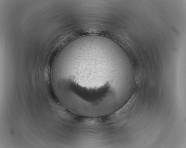 X0000115170175200911121747