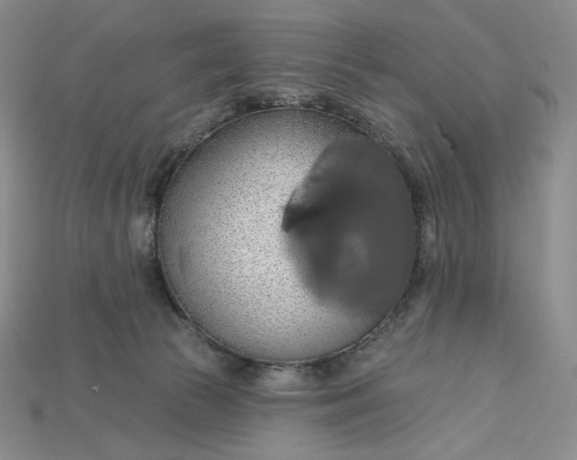 X0000115170177200911121747