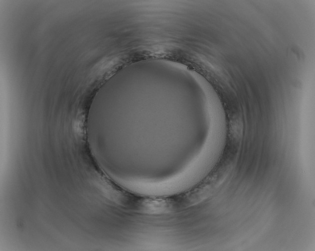 X0000115170181200911121747