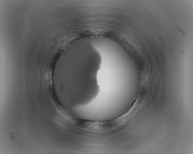 X0000115170182200911121747