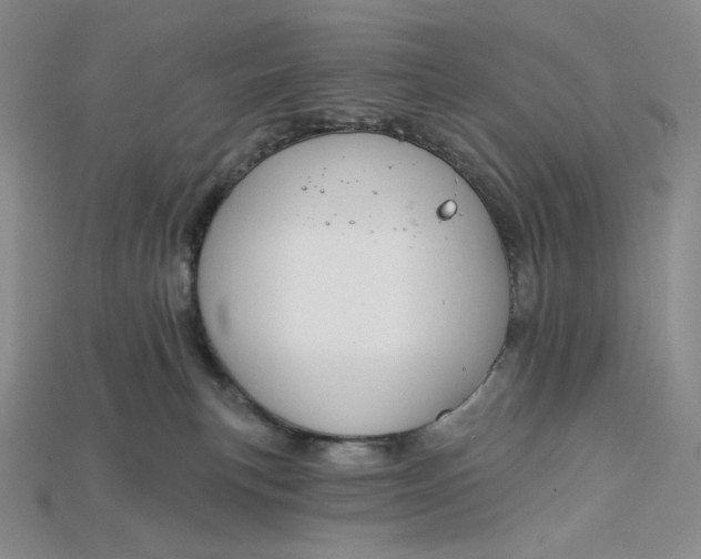X0000115170183200911121747