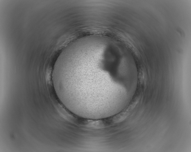 X0000115170185200911121747