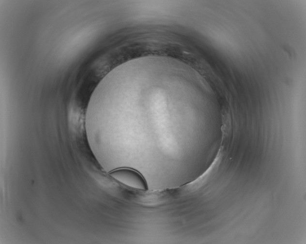 X0000115170191200911121747