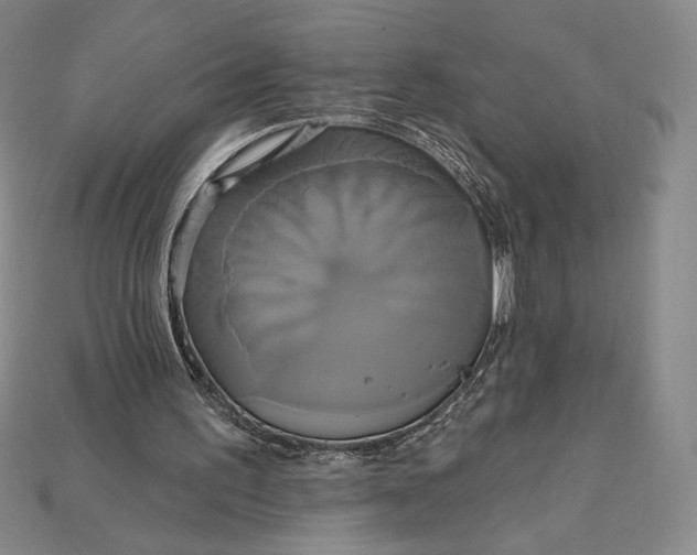 X0000115170195200911121747