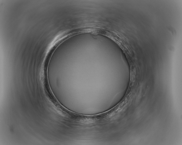 X0000115170198200911121746