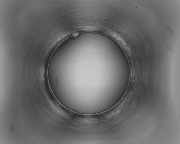 X0000115170201200911121746