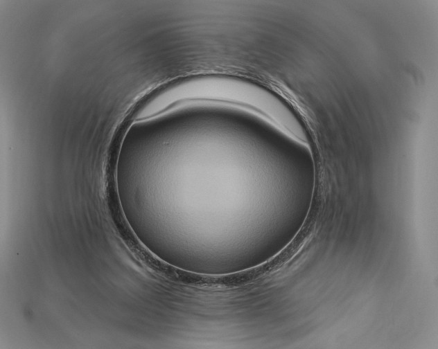 X0000115170203200911121746