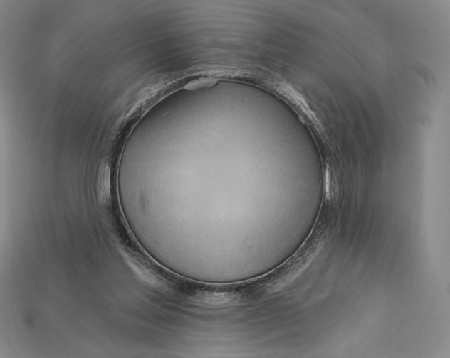 X0000115170205200911121746