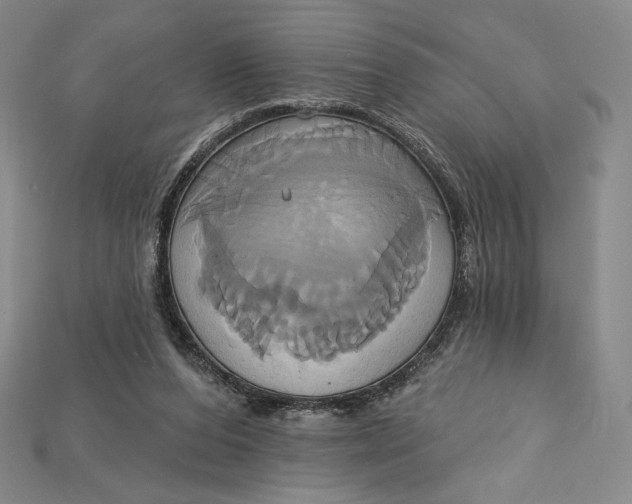 X0000115170208200911121746