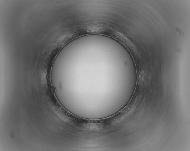 X0000115170209200911121746