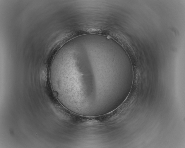 X0000115170210200911121746