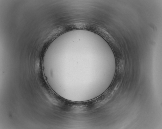 X0000115170213200911121746