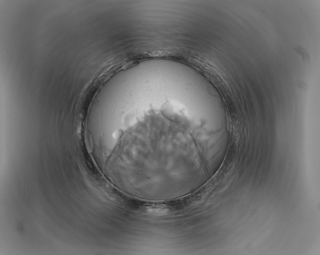 X0000115170214200911121746