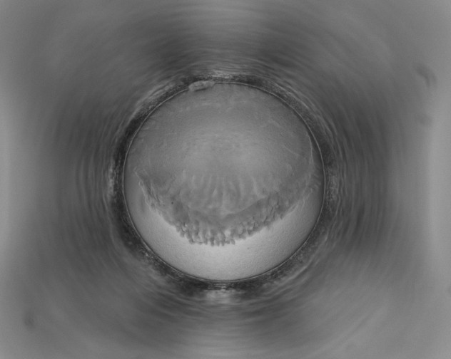 X0000115170216200911121746