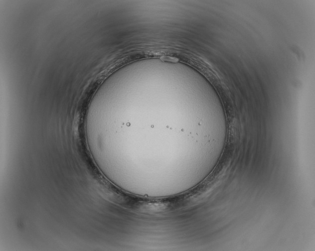 X0000115170217200911121746