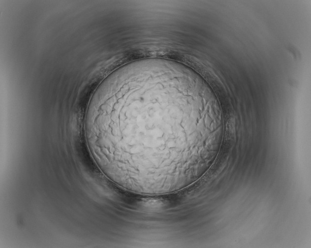 X0000115170218200911121746