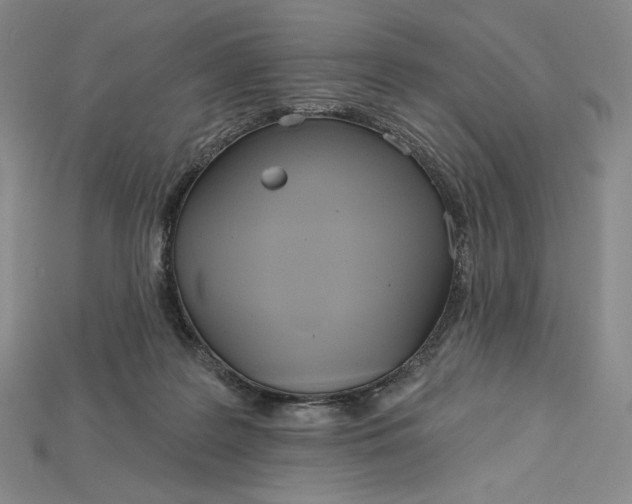 X0000115170219200911121746