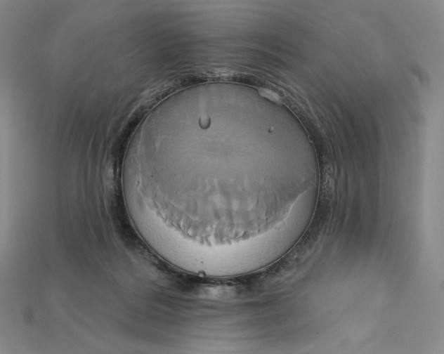 X0000115170220200911121746