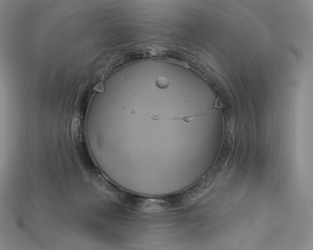 X0000115170222200911121746