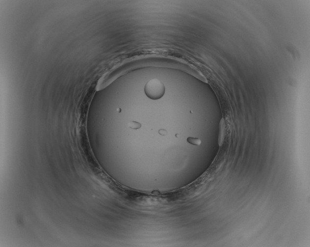 X0000115170223200911121746
