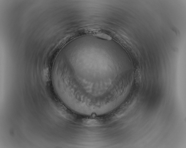 X0000115170224200911121746