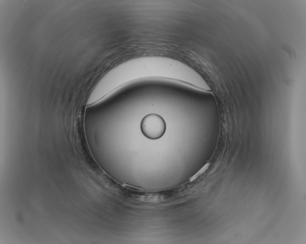 X0000115170225200911121746