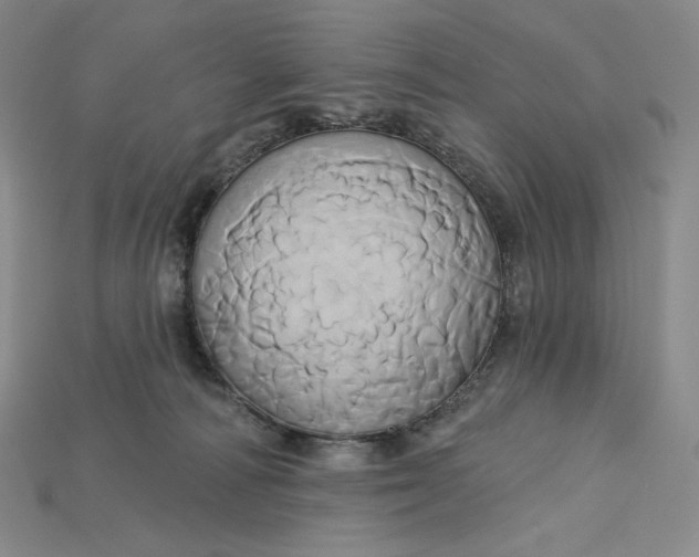 X0000115170226200911121746