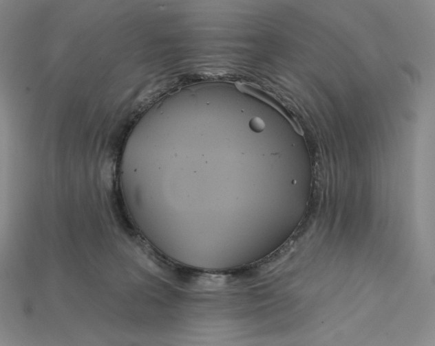X0000115170227200911121746