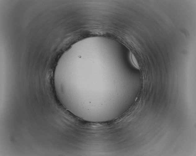 X0000115170229200911121746