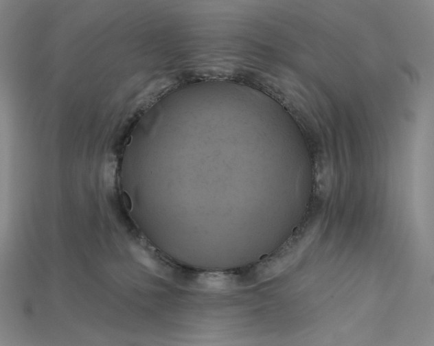 X0000115170231200911121746