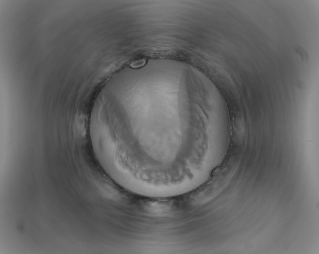 X0000115170232200911121746