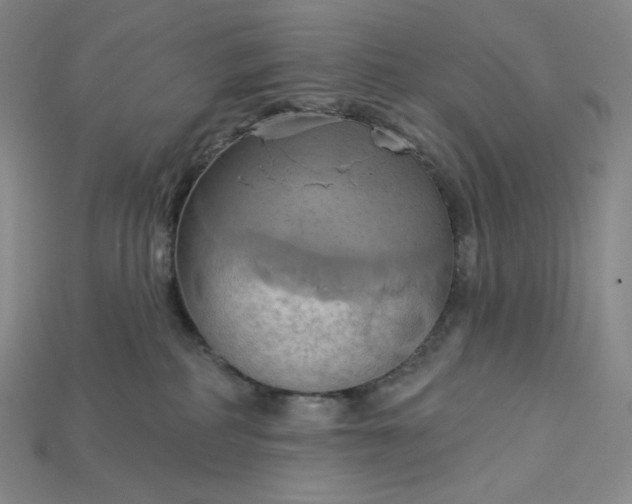 X0000115170234200911121746