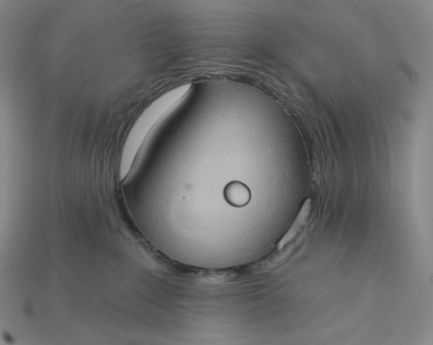 X0000115170235200911121746